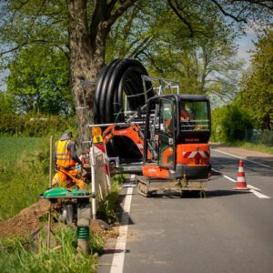 Verlegearbeiten Allee (BKZ MV)